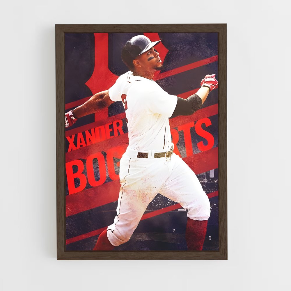 Poster La Légende de Xander – affiche Baseball (vue 5)
